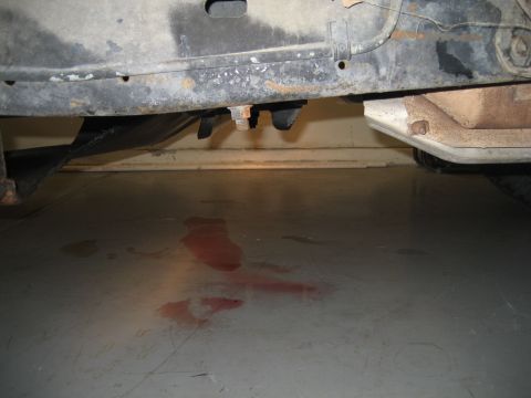 1989 Ford Bronco - It had a leak when I bought it, but it got really bad after a few days of driving.