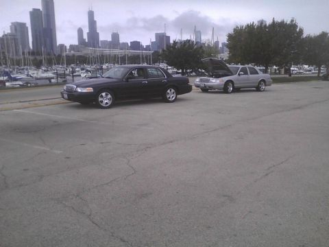 2003 Ford Crown Victoria - Two Ford Crown Victorias are parked in a lot with a city skyline and marina in the background.