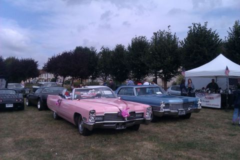 1991 Ford LTD Crown Victoria - Two classic cars, a pink convertible and a blue sedan, are parked outdoors on a grassy field.