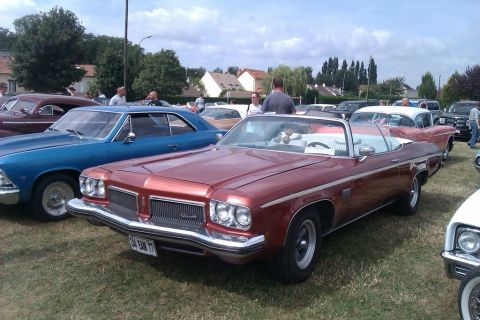 1991 Ford LTD Crown Victoria - A red convertible with a white interior is parked on grass, with other cars visible in the background.