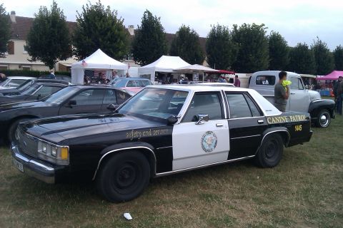 1991 Ford LTD Crown Victoria - A black and white police car with "Canine Patrol" text is parked on grass with other vehicles and tents in the background.