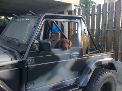 1987 Suzuki Samurai - A dog rests its head on the window frame of a modified Suzuki Samurai, parked outdoors.
