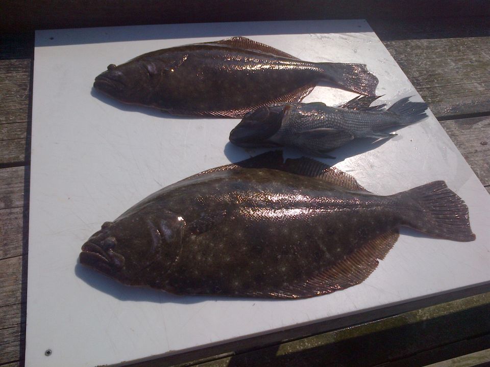 Two flatfish and a smaller fish on a white cutting board