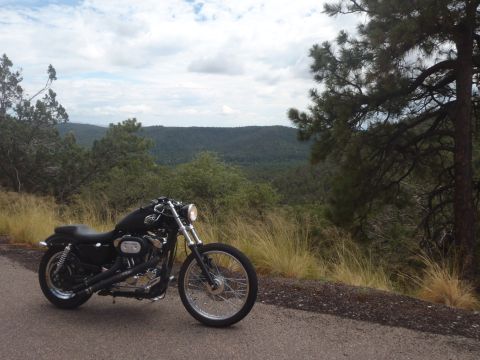 2002 Harley-Davidson XL Sportster - A black Harley-Davidson motorcycle is parked on the side of a road with a scenic view of rolling hills and trees.