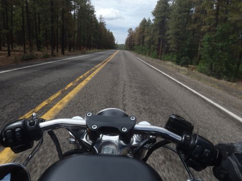 2002 Harley-Davidson XL Sportster - Riding a motorcycle down a highway through a forest, with a view of the handlebars and road ahead.