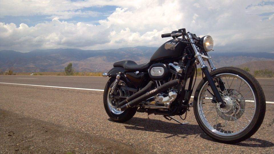 2002 Harley-Davidson XL Sportster “The Sporty”