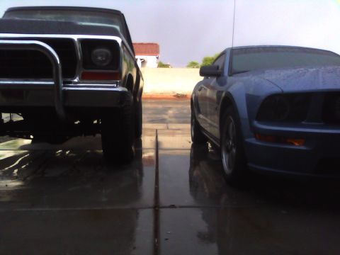 2006 Ford Mustang photo