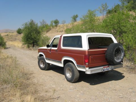 1981 Ford Bronco - This 1981 Ford Bronco is seen from a 3/4 front angle on a dirt road.