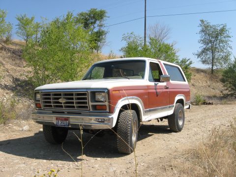 1981 Ford Bronco - This 1981 Ford Bronco is shown in a three-quarter front view on a dirt path.