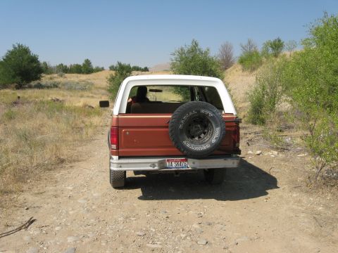 1981 Ford Bronco - This Ford Bronco is parked on a dirt road in a dry, brushy area under a clear blue sky.