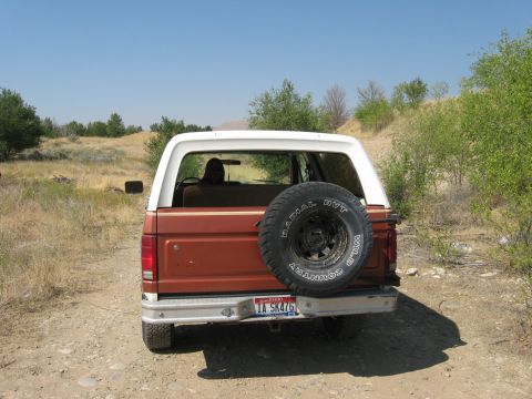 1981 Ford Bronco - Rear view of a brown and white Ford Bronco with a spare tire on the back, parked on a dirt path.