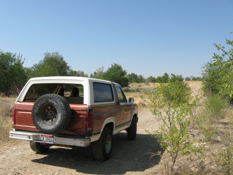 1981 Ford Bronco - This 1981 Ford Bronco is parked on a dirt road, ready for adventure.