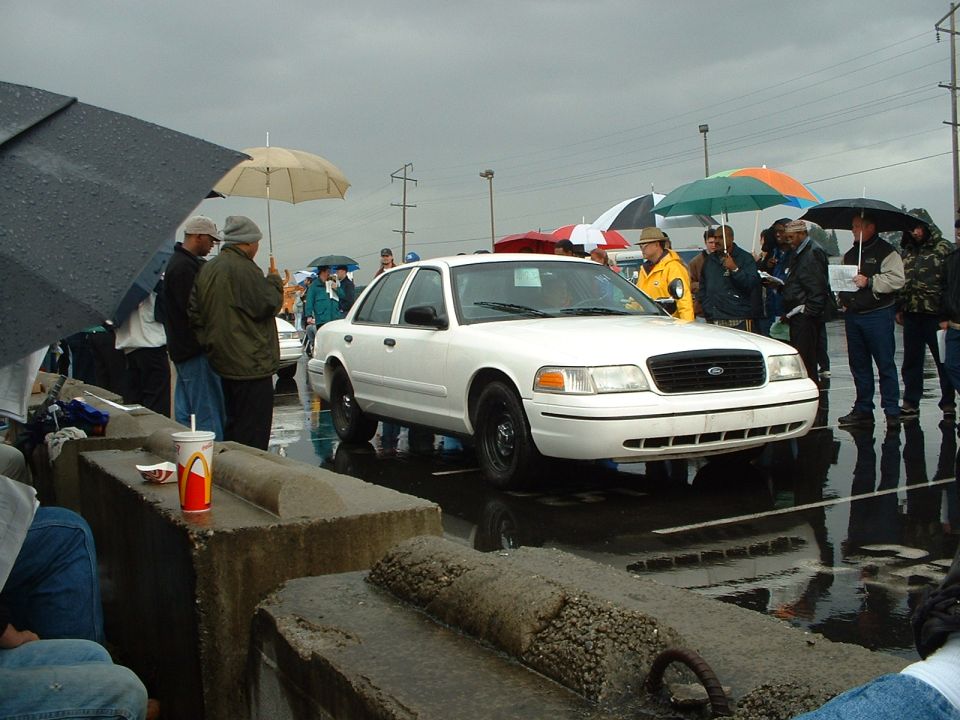 White Ford Crown Victoria on black steel wheels crossing a flooded auction lane in the rain