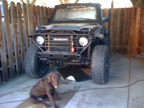 1987 Suzuki Samurai - Suzuki Samurai parked indoors with a dog in front.