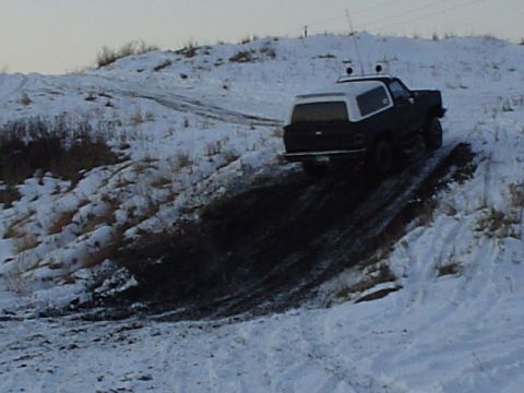 1981 Ford Bronco - Mike