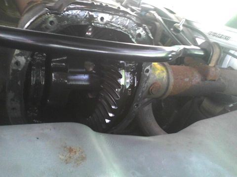 2003 Ford Crown Victoria - Close-up view of differential gears, with the Supermotors.net logo in the lower right corner.