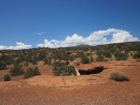 1991 Ford LTD Crown Victoria - A vast desert landscape under a bright blue sky with scattered clouds, red rock formations and sparse vegetation.