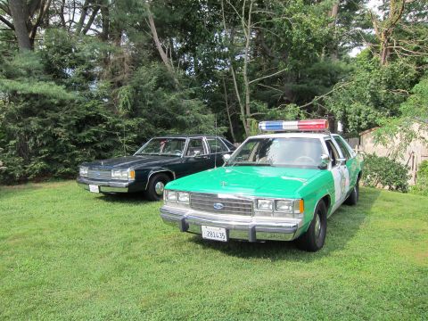 1991 Ford LTD Crown Victoria - green-and-white Ford police car with a light bar beside a dark sedan, both parked on a grassy lawn near evergreens.
