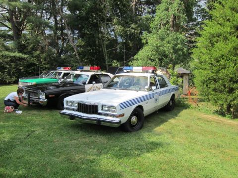 1991 Ford LTD Crown Victoria - white police sedan with blue side stripes and a roof light bar parked on a lawn next to other vintage patrol cars at a show.