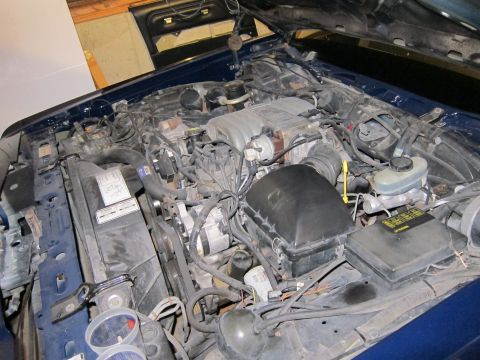 1991 Ford LTD Crown Victoria - The engine bay of a 1991 Ford Crown Victoria LTD, showing the V8 engine and associated components.