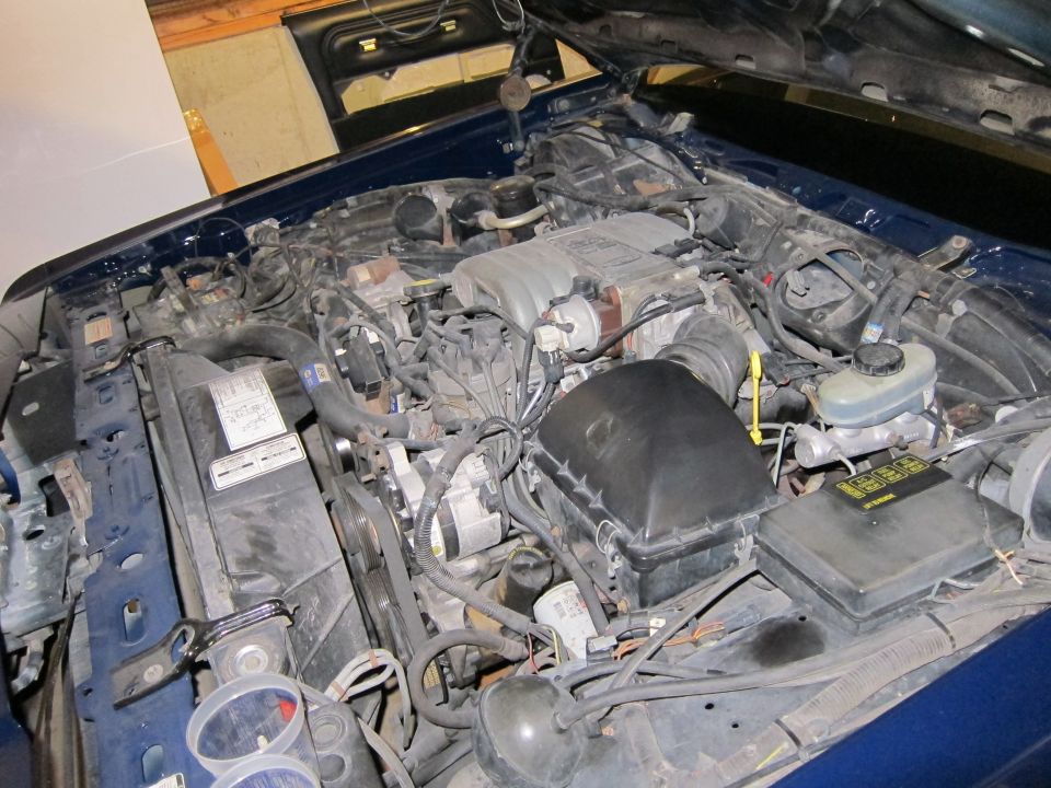 Engine bay of a 1991 Ford Crown Victoria LTD