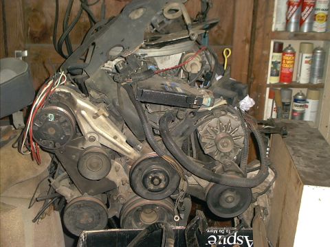 1966 Ford Bronco - 88 5.0 SEFI from Crown Vic awaiting installation