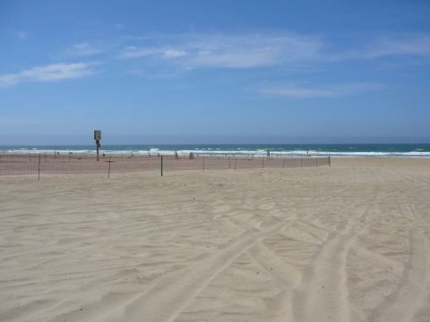 1988 Ford Bronco - A wide sandy beach meets the ocean under a bright blue sky, with a fence line in the mid-ground.
