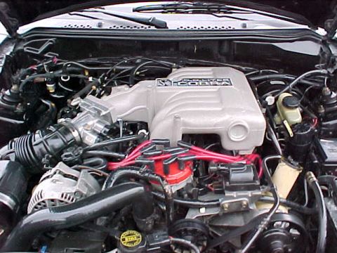 1995 Ford Mustang - The engine bay of a 1995 Ford Mustang Cobra shows the silver intake manifold and red spark plug wires, confirming the vehicle's identity.