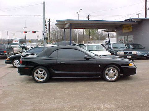 1995 Ford Mustang - A black convertible sports car is parked on an asphalt lot with other vehicles and buildings in the background.