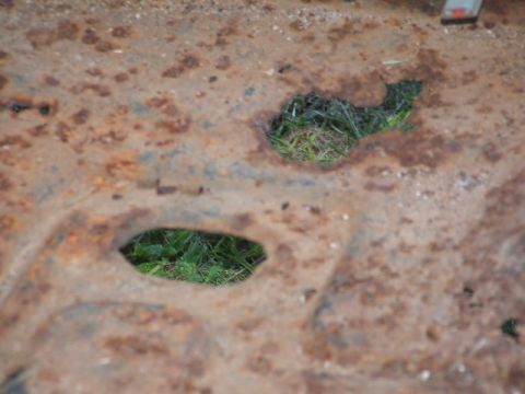 1966 Ford Ranchero - Close-up of heavily rusted metal with holes, revealing grass below.