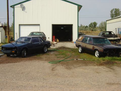 1982 Mercury Zephyr “woody”