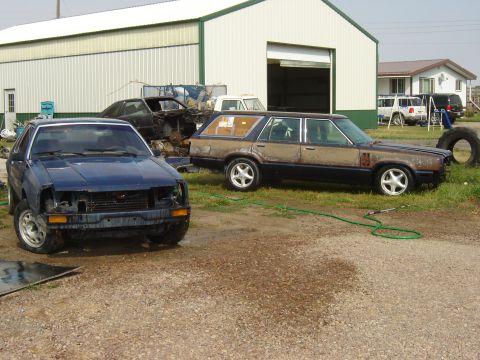 1982 Mercury Zephyr “woody”
