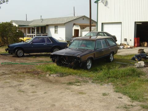 1982 Mercury Zephyr “woody”