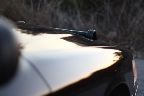 2004 Ford Crown Victoria - A black car's hood and snorkel are visible, reflecting the sunset against a blurred natural background.
