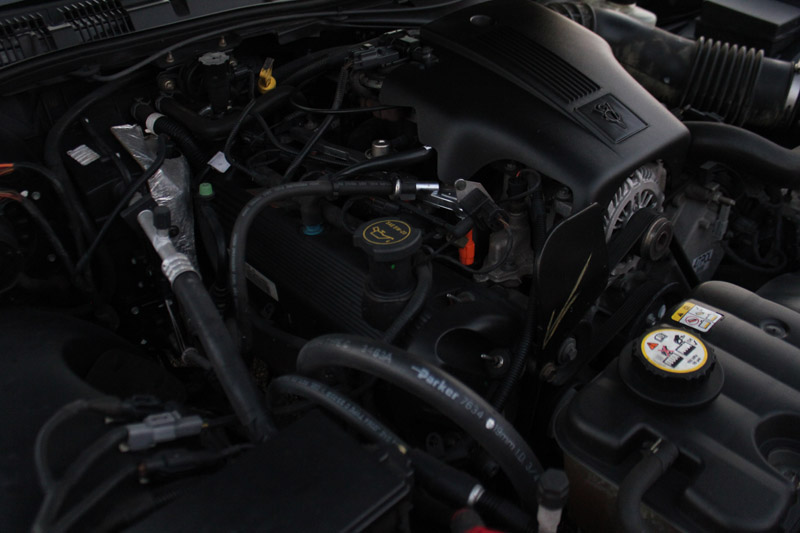 Engine bay of a 2004 Ford Crown Victoria, showing the V8 engine components, hoses, and wiring