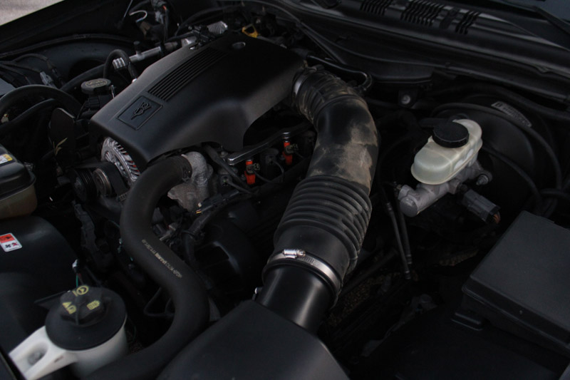 2004 Ford Crown Victoria engine bay with V8 engine components visible