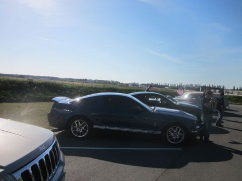 1991 Ford LTD Crown Victoria - Several cars are parked in a lot on a sunny day, with a Shelby GT500 prominent in the foreground.