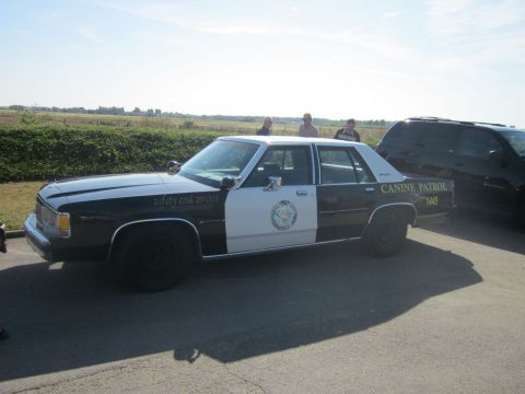 1991 Ford LTD Crown Victoria - This 1991 Ford Crown Victoria police car is marked "CANINE PATROL" and has the number 1445 on its rear door.