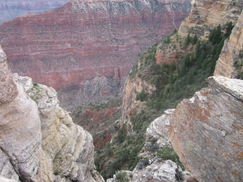 1991 Ford LTD Crown Victoria - A vast canyon landscape with layered red and tan rock formations and scattered green trees.
