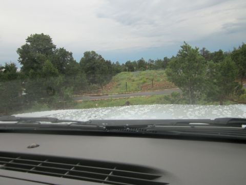 1991 Ford LTD Crown Victoria - View from inside a vehicle shows a landscape scene with trees and a cloudy sky, with the dashboard and windshield visible.