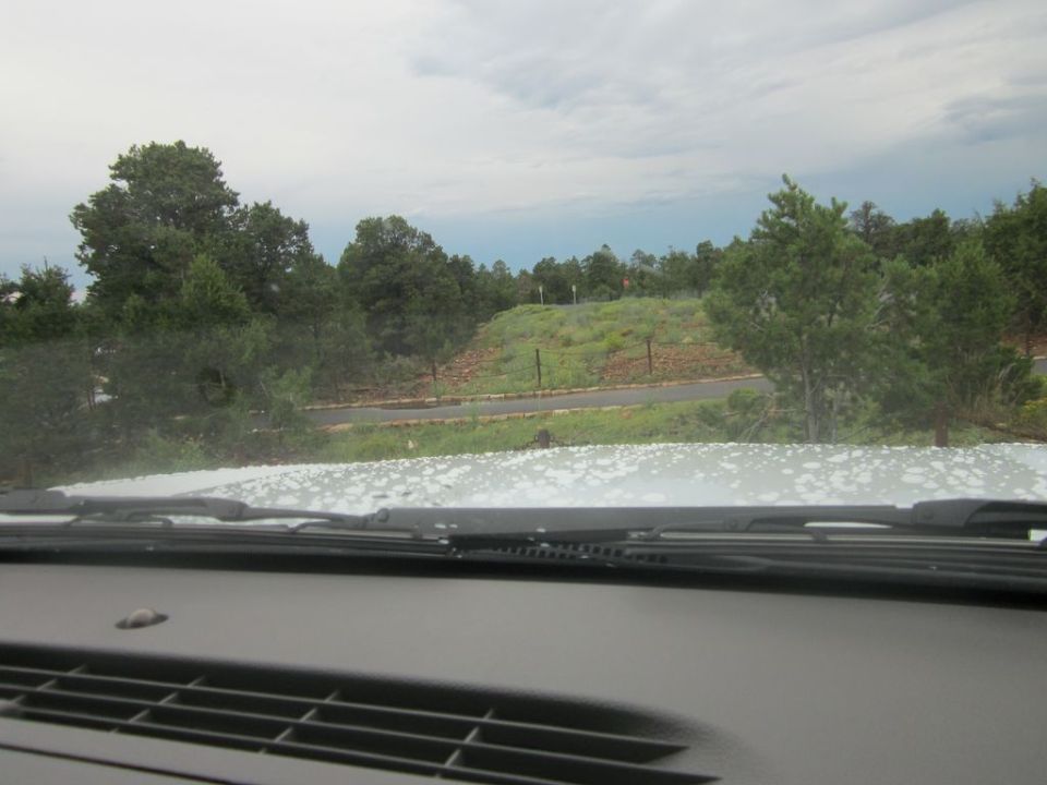 Interior view from a car looking out at a landscape with trees and a cloudy sky