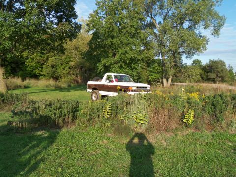 1989 Ford Bronco - 1989 Ford Bronco sits in a field surrounded by trees and wildflowers.