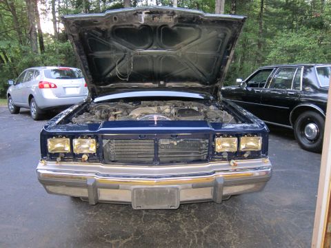 1991 Ford LTD Crown Victoria - Front view of a dark blue sedan with its hood open, parked outdoors with other vehicles nearby.