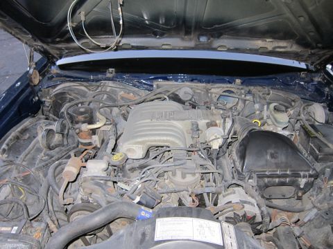 1991 Ford LTD Crown Victoria - The engine bay of a 1991 Ford Crown Victoria LTD is visible with the hood open.