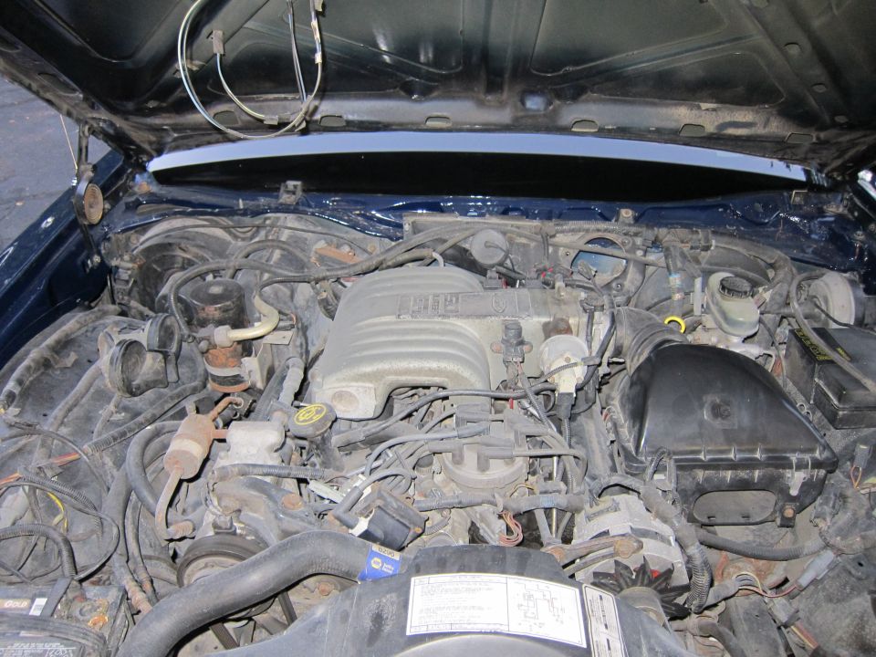 Engine bay of a 1991 Ford Crown Victoria LTD, showing a V8 engine with visible hoses, wires, and air intake. The hood is open