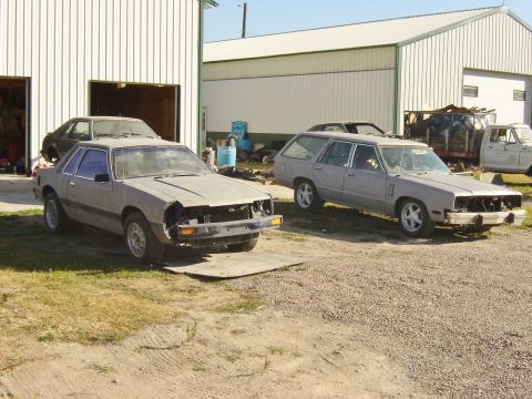 1982 Mercury Zephyr photo