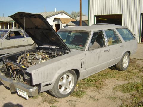1982 Mercury Zephyr photo