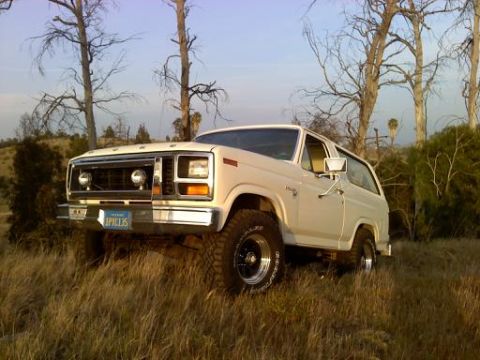 1981 Ford Bronco