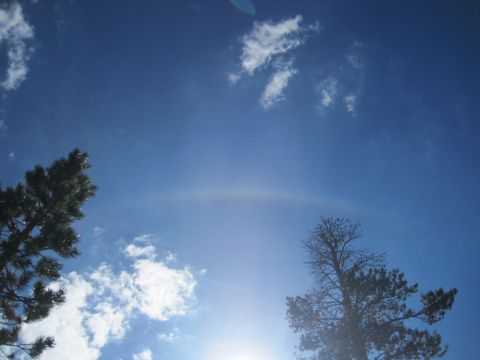 1989 Ford Bronco - A sun halo is visible in the bright blue sky above silhouetted trees.