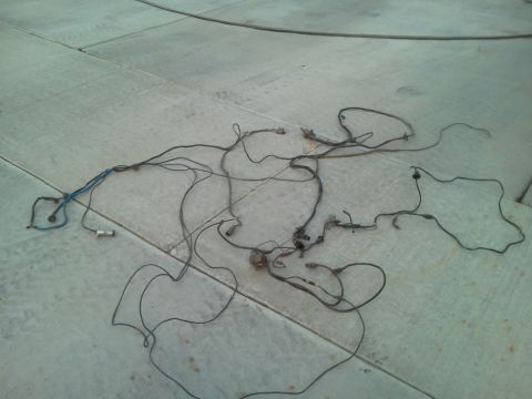 1979 Ford F-150 - A complex vehicle wiring harness is spread out on a concrete surface, showing numerous wires and connectors.